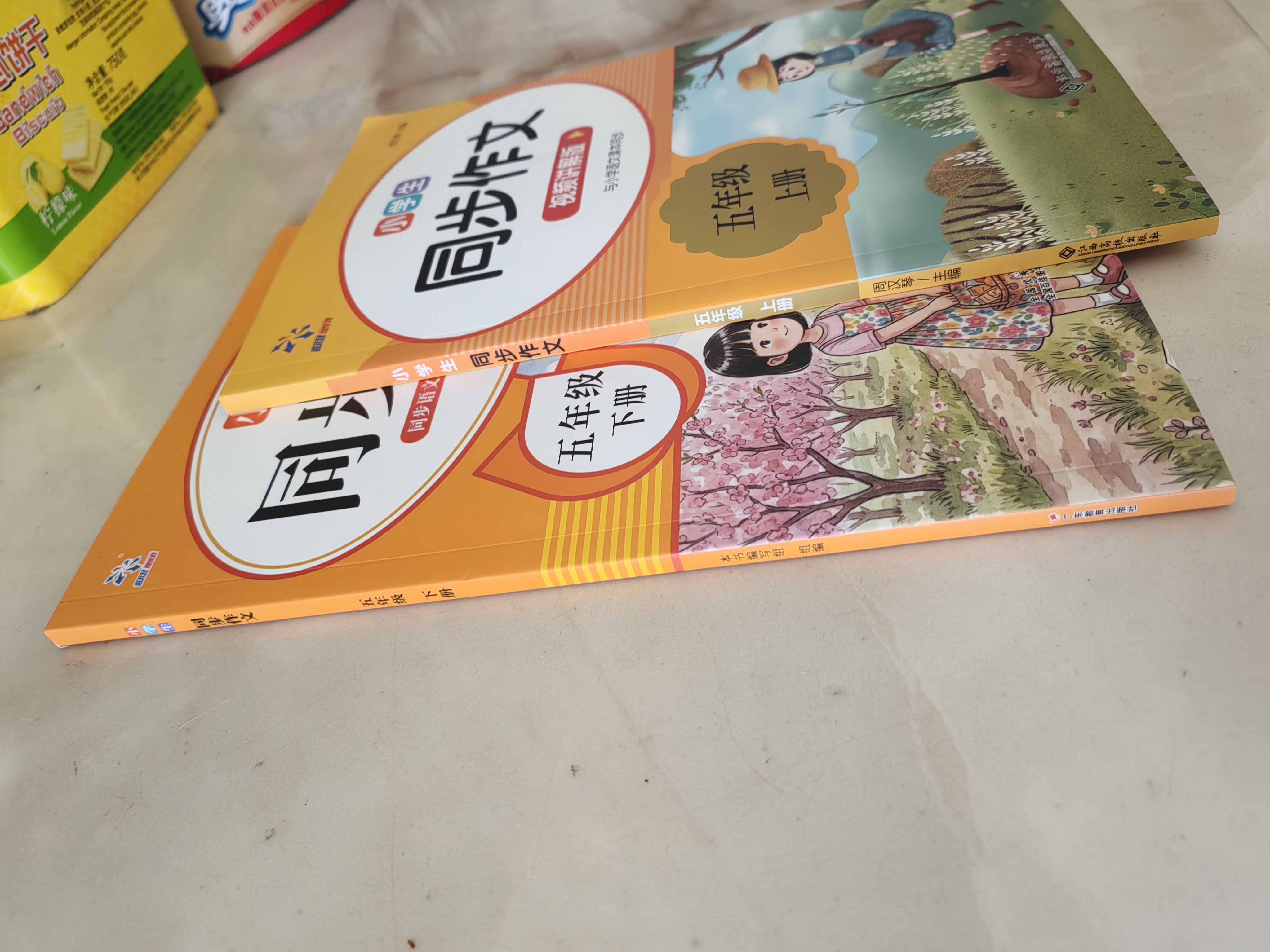 小学生同步作文五年级上下册（全2册）人教版人民教育出版社小学语文课本配套书目同步教材 阅读理解写作技巧思路素材积累范文课外阅读 实拍图