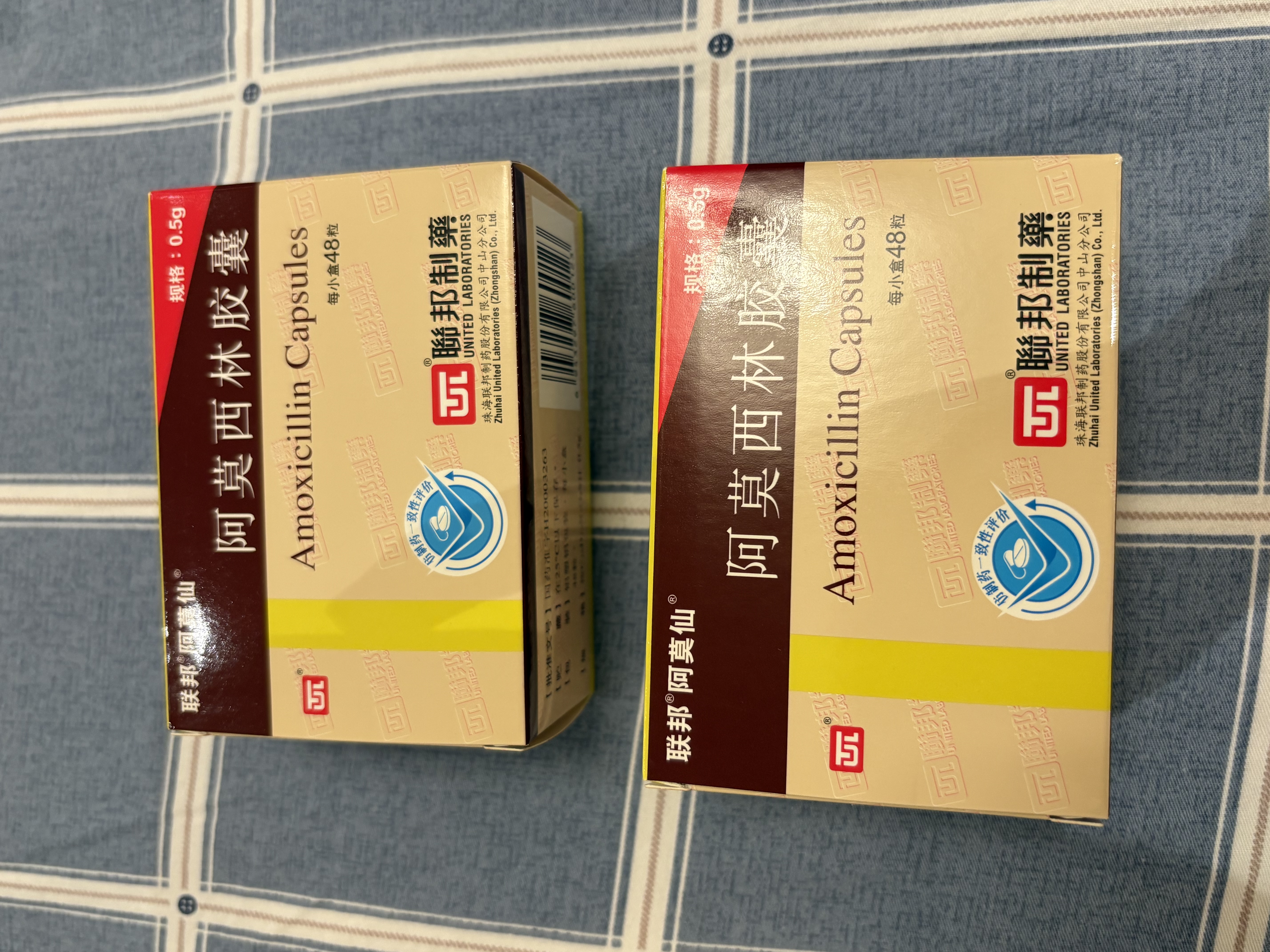 2盒装[阿莫仙] 阿莫西林胶囊0.5g*48粒/盒 实拍图
