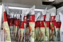 清净园宗家府辣白菜40g*10袋 袋装辣白菜咸菜方便面伴侣 实拍图