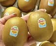 佳沛（zespri）新西兰金奇异果18粒优选果103-124g猕猴桃水果礼盒 实拍图