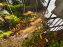 HANYANG 溪河沙水草鱼缸造景底砂免洗溪流粗沙化妆沙龟缸水族养鱼用品2kg 实拍图