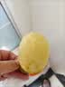 佳沛（zespri）新西兰金奇异果10粒巨大果146-175g猕猴桃水果礼盒 实拍图