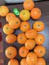 妙洁 保鲜罩 300只 一次性食品级保鲜膜套 强韧不易破 餐具高适配 实拍图