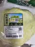 【水果菜】有机水果甘蓝500g 实拍图