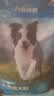 力狼狗粮 全价成犬粮 博美泰迪金毛阿拉斯加边牧大中小犬型粮 【53%肉含量-护胃健骨】鲜鸭肉梨4斤 实拍图