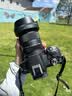 适马（SIGMA）18-50mm F2.8 DC DN｜Contemporary 半画幅微单 1850标准变焦镜头  人像旅行直播（佳能RF卡口） 实拍图