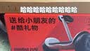 九号（Ninebot）电动平衡车L8白色+手扶杆套装儿童生日礼物玩具多模式操控10英寸体感加速代步9号平衡车 实拍图