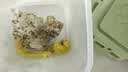 盖世泡椒鱼皮1斤 凉菜开袋即食凉拌下酒菜餐饮 烧烤露营凉菜 实拍图