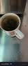 乐品乐茶高山绿茶浓香耐泡高性价比口粮茶特级明前春茶 500g自饮2026新茶 实拍图
