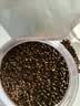 贡苑特级决明子茶560g 大颗粒无杂质炒熟散装中药材养生泡水喝 实拍图