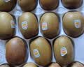佳沛（zespri）新西兰金奇异果10个装单果重103-114g猕猴桃水果礼盒 实拍图