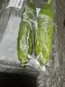 【水果菜】东北旱黄瓜约550g 实拍图