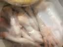 正大鸡爪净重2斤（单个鸡爪约40-50g） 柠檬鸡爪生鲜烧烤 实拍图