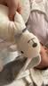 澳贝（auby）婴幼儿玩具小兔安抚巾加大宝宝哄睡神器阿贝贝新生儿玩偶满月礼物 实拍图
