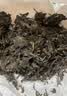 大益TAETEA茶叶普洱茶饼茶 3年陈翡冷翠生茶357g/饼 口粮茶自己喝 实拍图