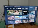 TCL雷鸟电视 43英寸 43雀5 一级能效 144Hz高刷 1.5+32GB内存  平板电视43F295C-JN 实拍图