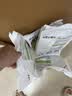 福丸自然空气玉米豆腐猫砂除臭低尘可冲厕所 玉米淡香 2.5kg*4包 实拍图
