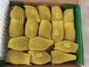 佳沛（zespri）绿奇异果经典果16粒礼盒单果约89-103g 水果 猕猴桃 实拍图