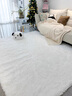 Y U-LIVE北欧风长绒卧室地毯网红少女床边地毯加厚升级防滑可定制客厅地毯 纯白色【升级加厚加密】 80cm*200cm 实拍图