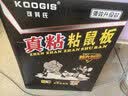 可其氏（KOOGIS）老鼠贴占粘鼠板大号超强力捕捉器沾捕鼠神器家用全自动灭鼠一窝端 实拍图