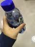 脉动（Mizone）猫薄荷瓶×zeze联动猫窝礼盒600ML*8瓶低糖电解质水维生素水饮料 实拍图