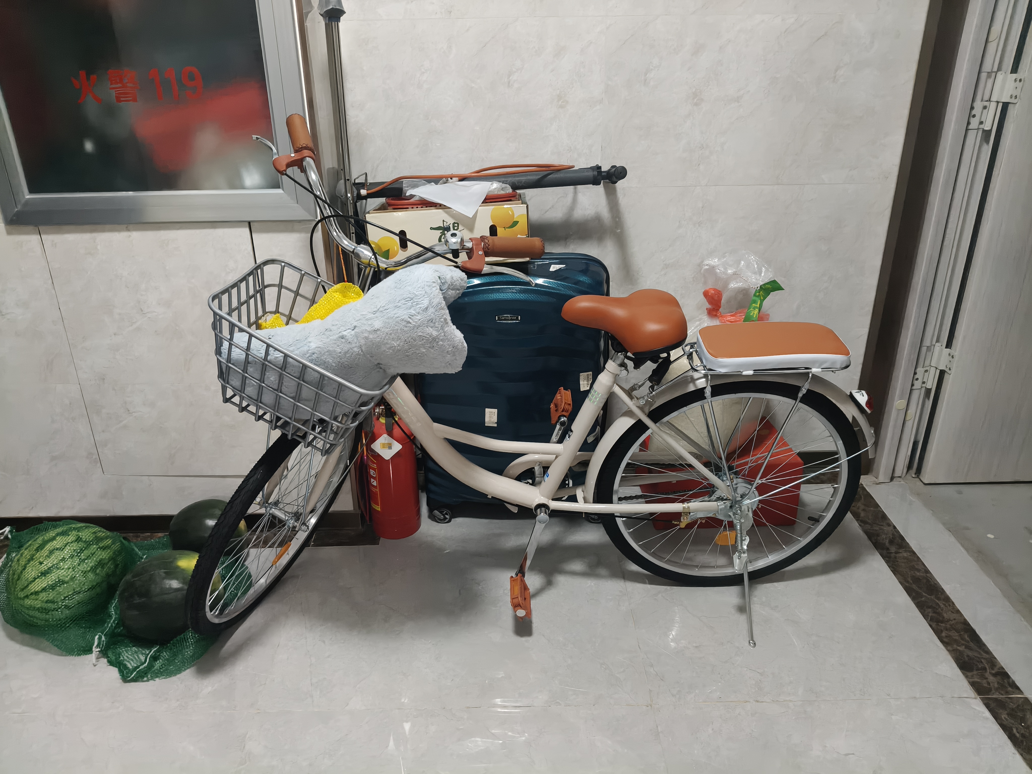 飞鸽 成人自行车女士轻便上班代步复古款通勤单车大学生女式单车 【大芭蕾】单速/暖灰色/高配礼包 24英寸|密封中轴身高145-165cm 实拍图
