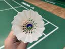 尤尼克斯（YONEX）羽毛球AS-03耐打稳定比赛训练鸭毛羽毛球（1桶12只装） 实拍图