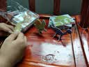 MAILE KID儿童玩具3D立体拼图手工diy3-6岁幼儿园趣味昆虫男女孩生日礼物 实拍图