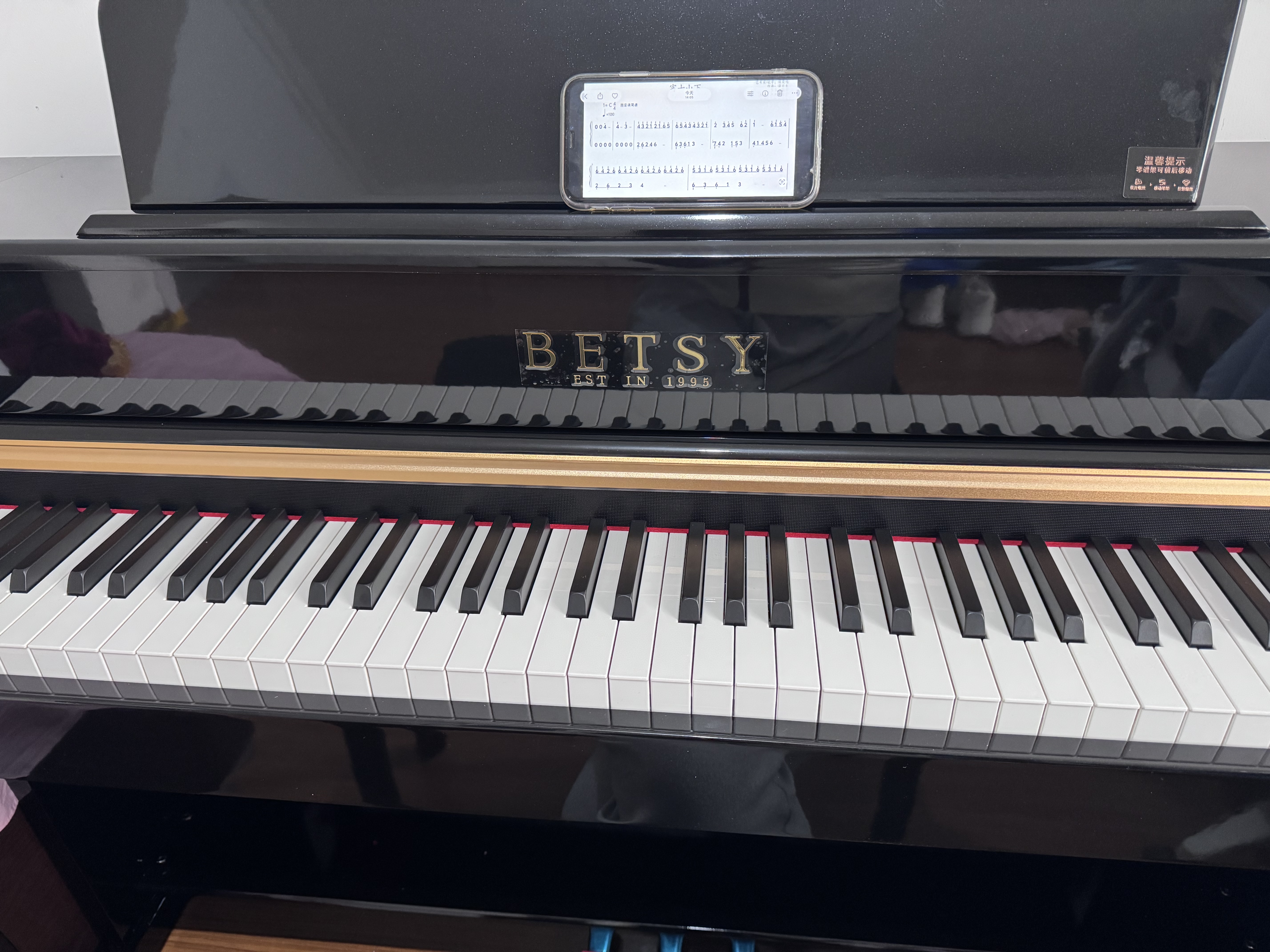 贝琪（Betsy）B321立式电钢琴重锤88键实木琴键成人专业初学者电子钢琴家用 实拍图