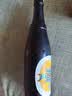 青岛啤酒（TsingTao）皮尔森拉格啤酒 450ml*12瓶 整箱装 实拍图