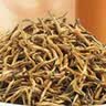 凤牌 红茶 金芽凤庆滇红特级100g罐装 茶叶 甜润蜜香 中华老字号 实拍图