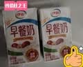 伊利早餐奶 新疆红枣250ml*16盒*1箱 礼盒装  实拍图