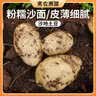 密农人家农家土豆500g 新鲜土豆 马铃薯 新鲜蔬 粉糯沙面洋芋 实拍图