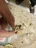 WEYES冻干7拼混合桶500g宠物猫狗零食冻干鸡肉鸡胸肉鸭肉粒营养补充 实拍图