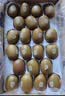 佳沛（zespri）新西兰金奇异果22粒巨大原箱146-175g猕猴桃水果礼盒 实拍图