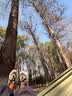 Naturehike挪客孤舟吊床户外露营便携摇篮秋千超轻加厚防侧翻 浅豆绿-双人 实拍图