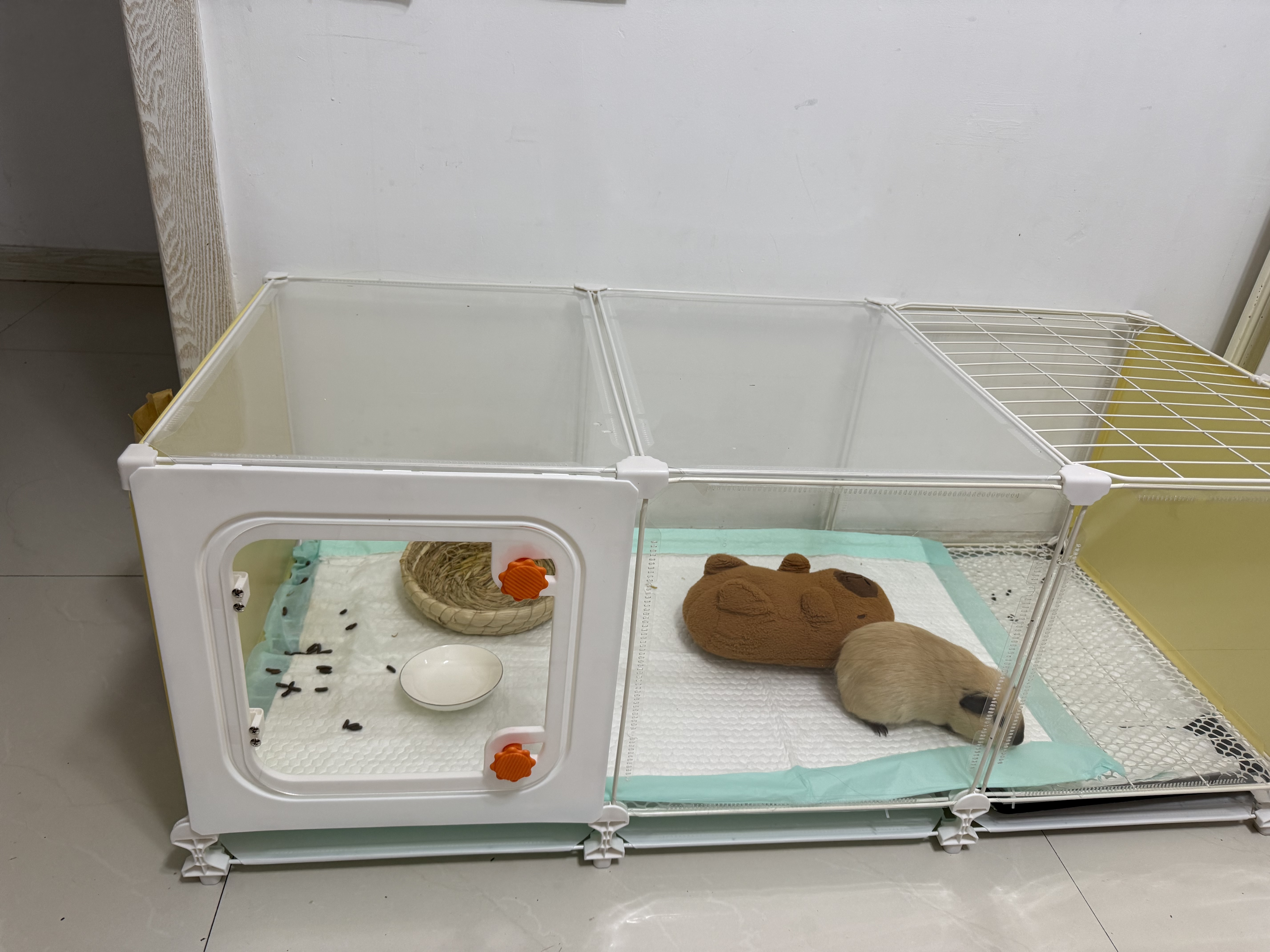 蔻丝全景兔笼子家用大空间带厕所荷兰猪豚鼠侏儒兔少越狱京东自营 实拍图