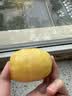 佳沛（zespri）新西兰阳光金奇异果6粒装88-103g猕猴桃水果水果礼盒 实拍图