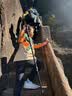 京东京造【初行】户外登山杖T柄伸缩拐杖棍防身防滑手杖爬山徒步 TT100 实拍图