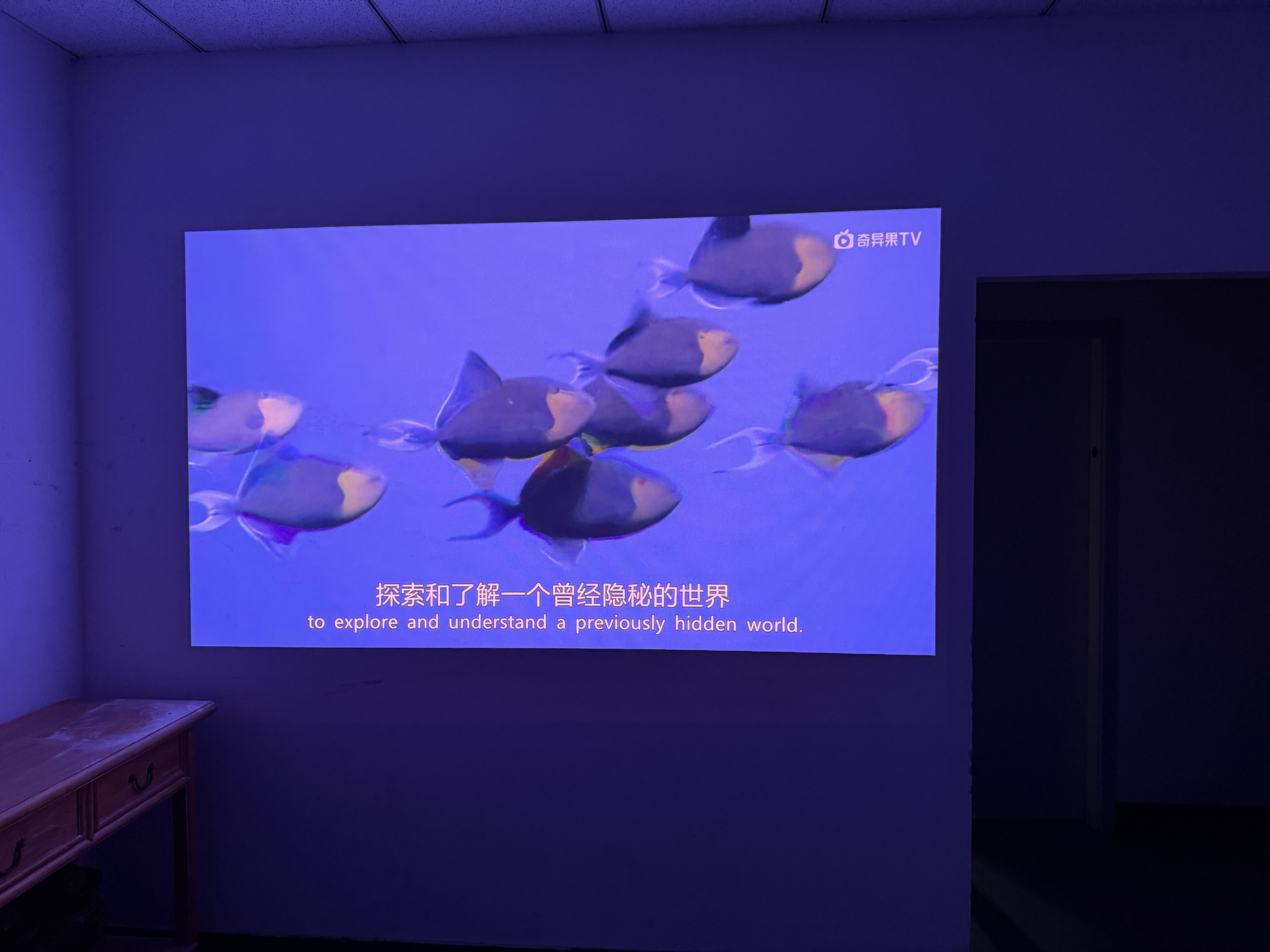 极米（XGIMI）Z9X 4K 旗舰版 焕新升级1650CVIA 4K光学变焦三色激光哈曼卡顿家用智能投影仪 国家补贴 实拍图