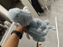 Jellycat天空龙动物毛绒玩具玩偶柔软陪伴娃娃送礼生日新婚礼物 天空龙 Large 实拍图