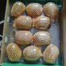 佳沛（zespri）新西兰金奇异果10粒巨大果146-175g猕猴桃水果礼盒 实拍图
