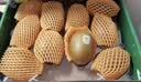佳沛（zespri）新西兰金奇异果10粒巨大果146-175g猕猴桃水果礼盒 实拍图