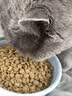 皇家猫粮 幼猫猫粮 幼猫奶糕 K36 通用粮 4-12月 2KG 实拍图