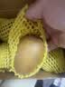 佳沛（zespri）新西兰金奇异果猕猴桃 5粒装 单果约88-103g 水果源头直发 实拍图