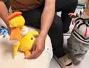 babycare魔性复读鸭毛绒婴儿玩具玩偶安抚宝宝早教学说话儿童见面生日礼物 实拍图