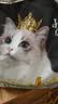亿迪猫粮冻干幼猫成猫10斤全价英短蓝猫布偶老年猫国产通用全阶段5kg 实拍图