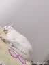 安耳悠 德国进口耳塞防噪音睡觉睡眠专用男女降噪隔音睡眠耳塞 soft5副 实拍图