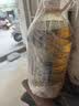 金龙鱼 食用油【保真菜籽油】醇香（纯香）菜籽油5L(新老包装交替发货) 实拍图
