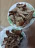 德州扒鸡山东特产礼品熟食腊味烧鸡开袋即食五香精选童子鸡500g1斤 实拍图